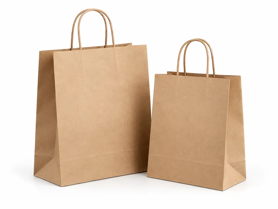 Kraft Bags — illustrative product concept on a clean background
